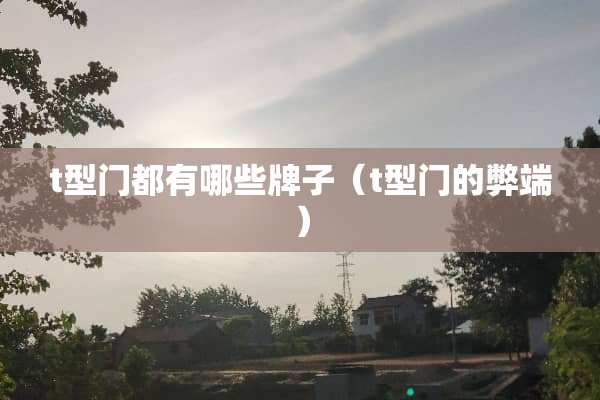 t型门都有哪些牌子（t型门的弊端）
