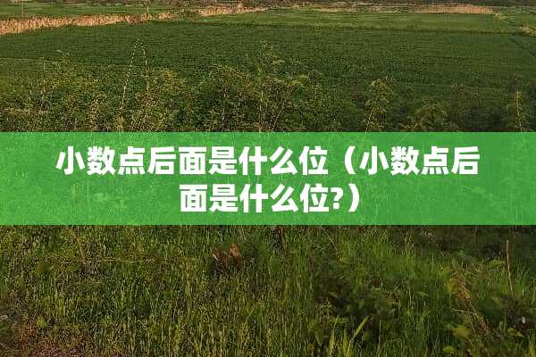小数点后面是什么位（小数点后面是什么位?）