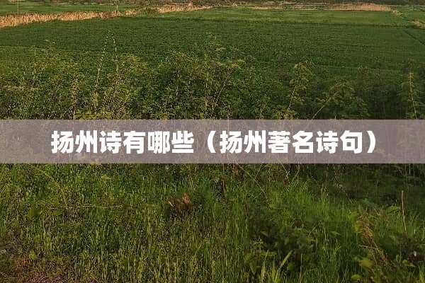 扬州诗有哪些（扬州著名诗句）
