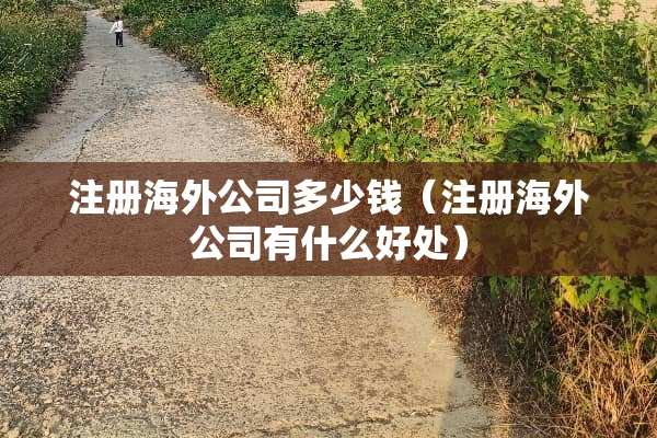 注册海外公司多少钱（注册海外公司有什么好处）
