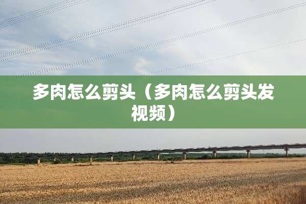 多肉怎么剪头（多肉怎么剪头发视频）