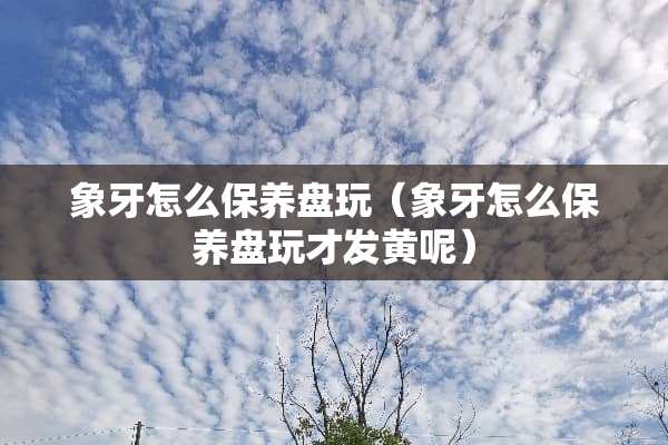象牙怎么保养盘玩（象牙怎么保养盘玩才发黄呢）