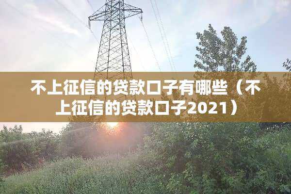 不上征信的贷款口子有哪些（不上征信的贷款口子2021）