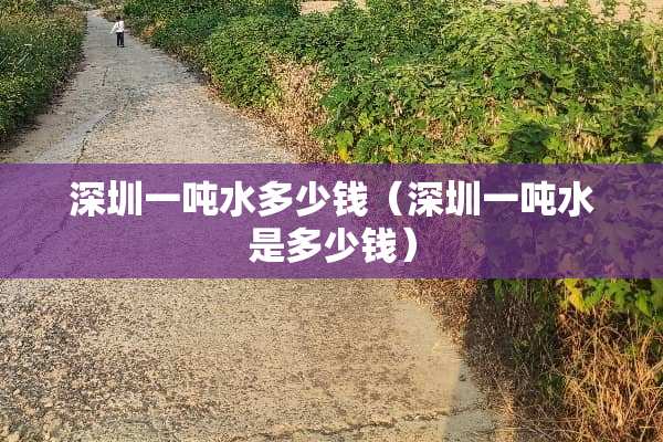 深圳一吨水多少钱（深圳一吨水是多少钱）