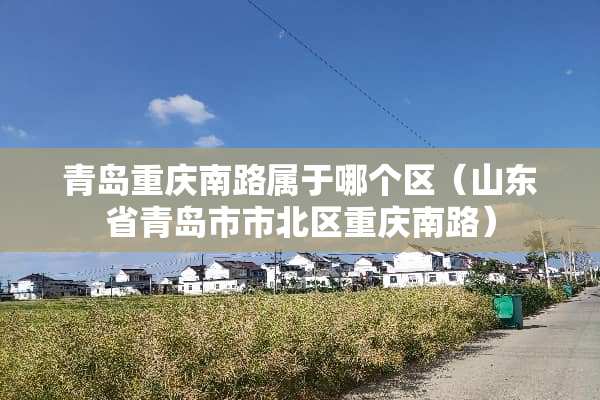 青岛重庆南路属于哪个区（山东省青岛市市北区重庆南路）