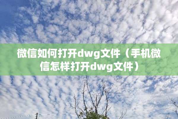 微信如何打开dwg文件（手机微信怎样打开dwg文件）