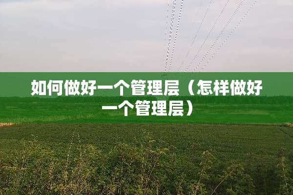 如何做好一个管理层（怎样做好一个管理层）