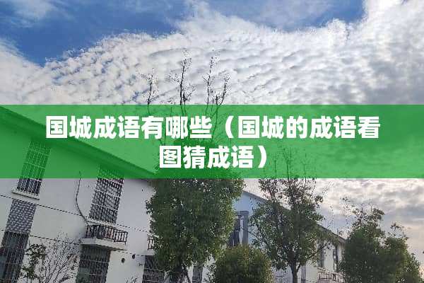 国城成语有哪些（国城的成语看图猜成语）