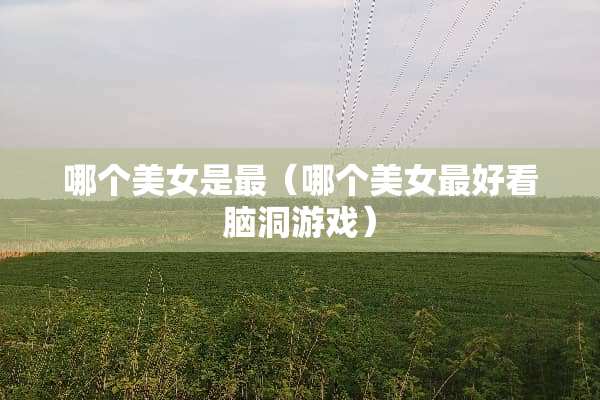 哪个**是最（哪个**最好看脑洞游戏）
