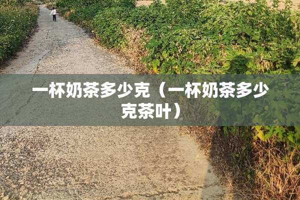 一杯奶茶多少克（一杯奶茶多少克茶叶）