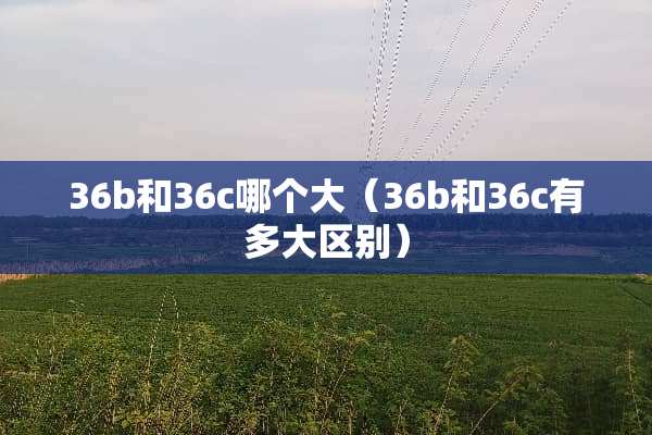 36b和36c哪个大（36b和36c有多大区别）