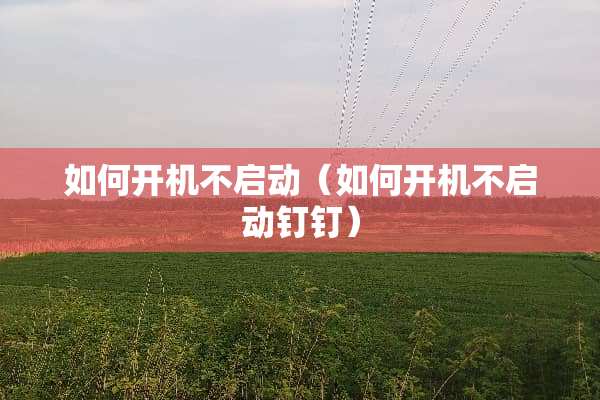如何开机不启动（如何开机不启动钉钉）