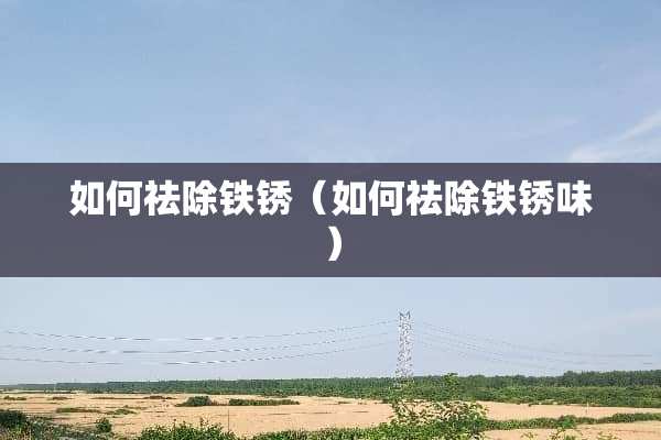 如何祛除铁锈（如何祛除铁锈味）