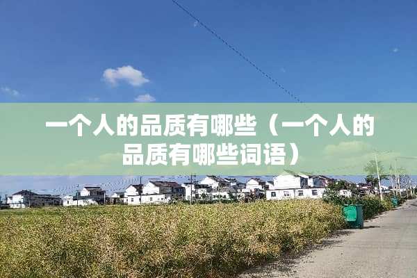 一个人的品质有哪些（一个人的品质有哪些词语）