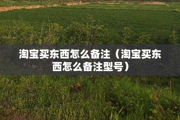 淘宝买东西怎么备注（淘宝买东西怎么备注型号）