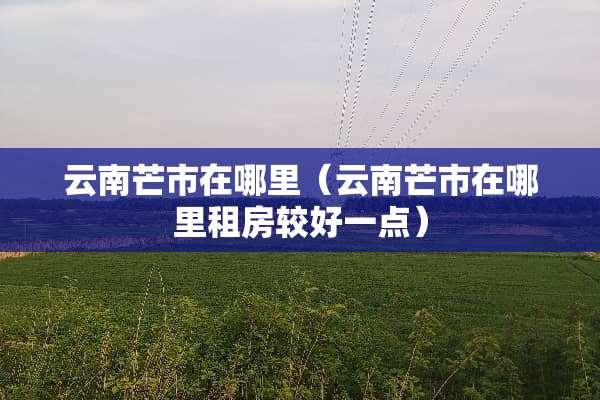 云南芒市在哪里（云南芒市在哪里租房较好一点）