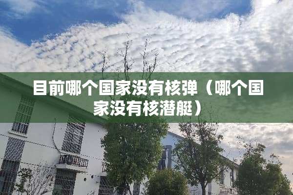 目前哪个国家没有**（哪个国家没有核潜艇）