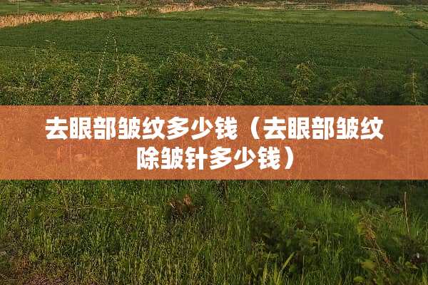 去眼部皱纹多少钱（去眼部皱纹除皱针多少钱）