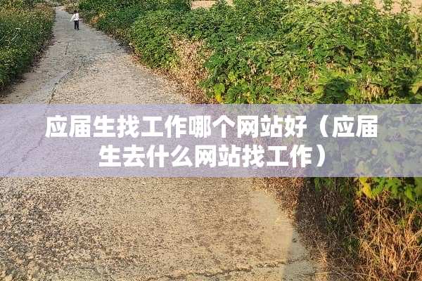应届生找工作哪个网站好（应届生去什么网站找工作）