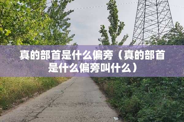 真的部首是什么偏旁（真的部首是什么偏旁叫什么）