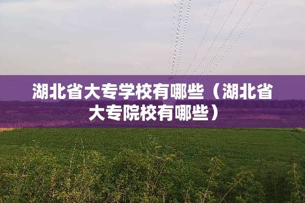 湖北省大专学校有哪些（湖北省大专院校有哪些）