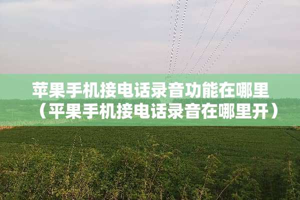 苹果手机接电话录音功能在哪里（平果手机接电话录音在哪里开）