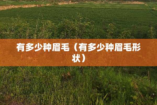 有多少种眉毛（有多少种眉毛形状）