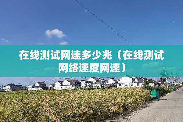 在线测试网速多少兆（在线测试网络速度网速）