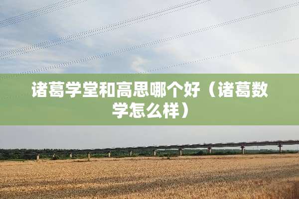 诸葛学堂和高思哪个好（诸葛数学怎么样）