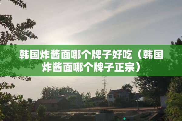 韩国炸酱面哪个牌子好吃（韩国炸酱面哪个牌子正宗）