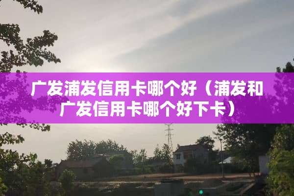 广发浦发***哪个好（浦发和广发***哪个好下卡）