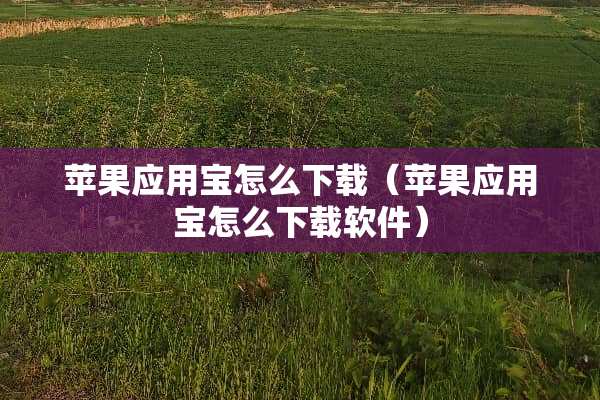 苹果应用宝怎么下载（苹果应用宝怎么下载软件）