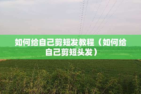 如何给自己剪短发教程（如何给自己剪短头发）