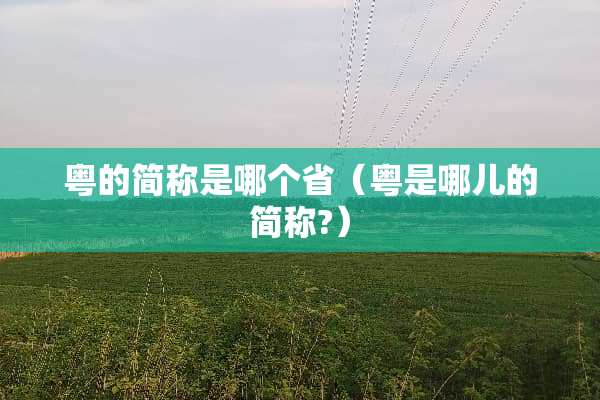 粤的简称是哪个省（粤是哪儿的简称?）