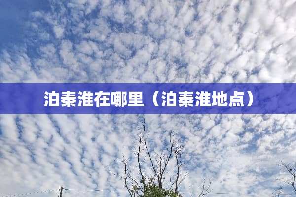 泊秦淮在哪里（泊秦淮地点）