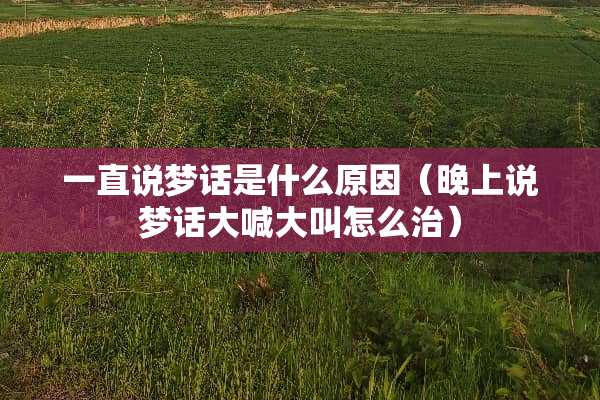 一直说梦话是什么原因（晚上说梦话大喊大叫怎么治）