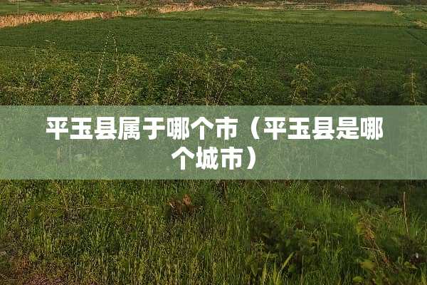 平玉县属于哪个市（平玉县是哪个城市）