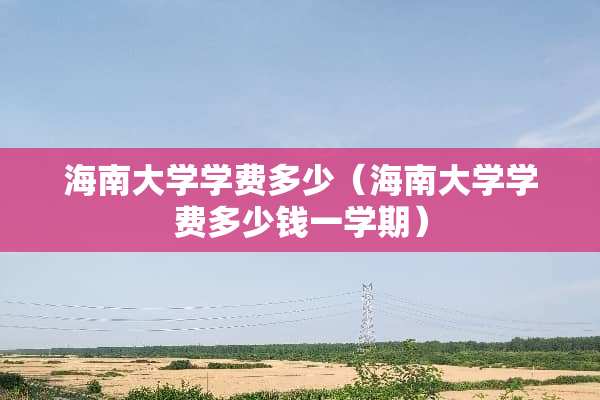 海南大学学费多少（海南大学学费多少钱一学期）