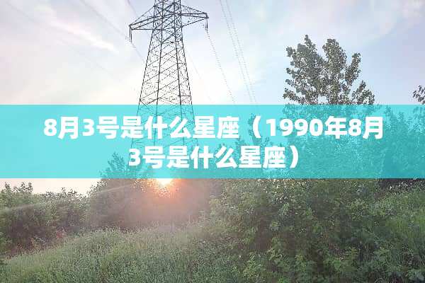 8月3号是什么星座（1990年8月3号是什么星座）