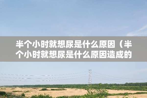 半个小时就想尿是什么原因（半个小时就想尿是什么原因造成的）