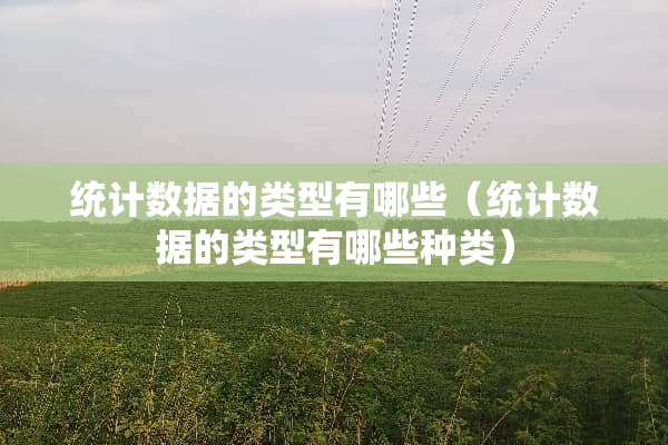 统计数据的类型有哪些（统计数据的类型有哪些种类）