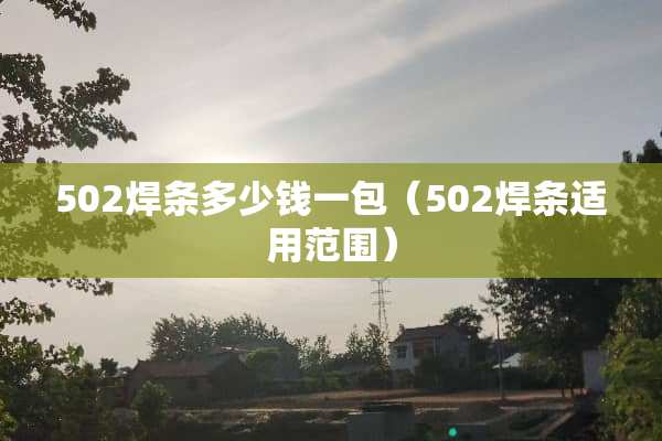 502焊条多少钱一包（502焊条适用范围）