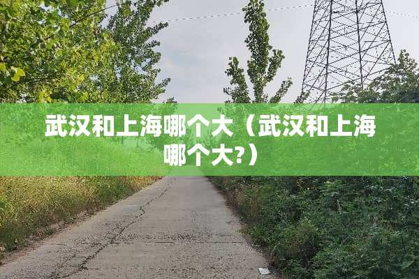 武汉和上海哪个大（武汉和上海哪个大?）