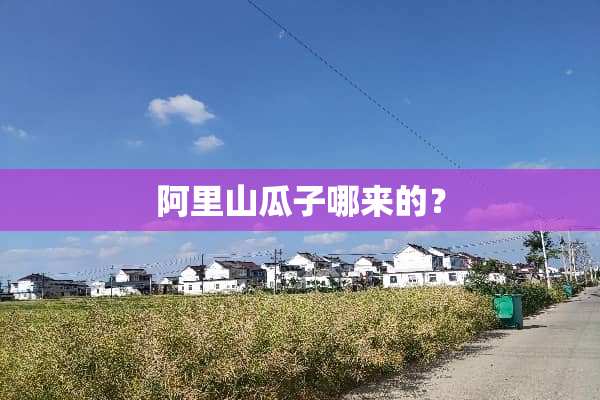 阿里山瓜子哪来的？