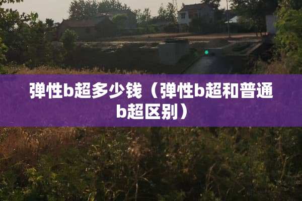 弹性b超多少钱（弹性b超和普通b超区别）