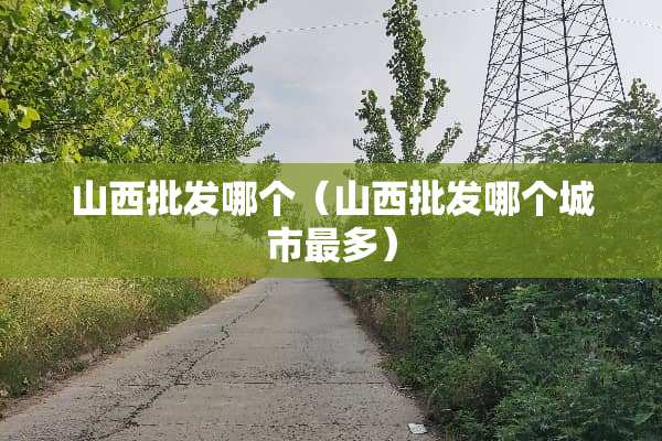 山西批发哪个（山西批发哪个城市最多）