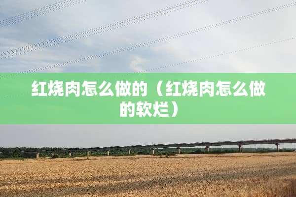 红烧肉怎么做的（红烧肉怎么做的软烂）