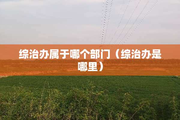 综治办属于哪个部门（综治办是哪里）