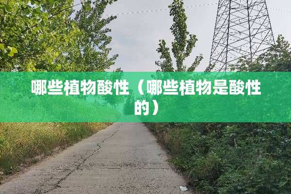 哪些植物酸性（哪些植物是酸性的）