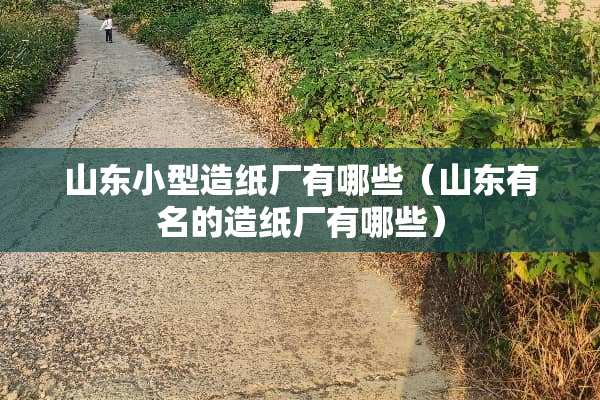 山东小型造纸厂有哪些（山东有名的造纸厂有哪些）